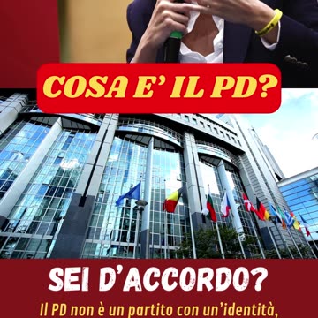 Cos'è il partito democratico della Schlein #politica #pd #schlein #partitodemocratico #opinioni