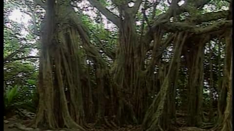 Japan NHK September 15, 2001 430am-500am JST