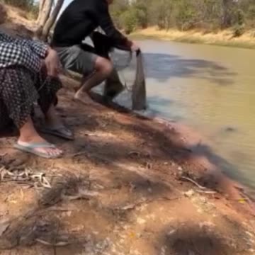 funny funny videos funny names funny animalsfunny funny videos funny names