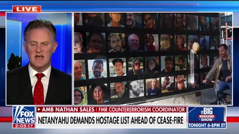 Netanyahu is prepared to do what's necessary to get the people back, Amb Nathan Sales says