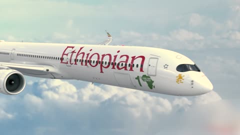 Without hesitation,show off nature's amazing beauty,where the forest,mountains,desert and all