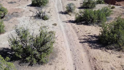 Fruita 1