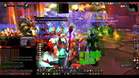 Turtle Wow - MM weekly Naxx - 13 November - Paladin