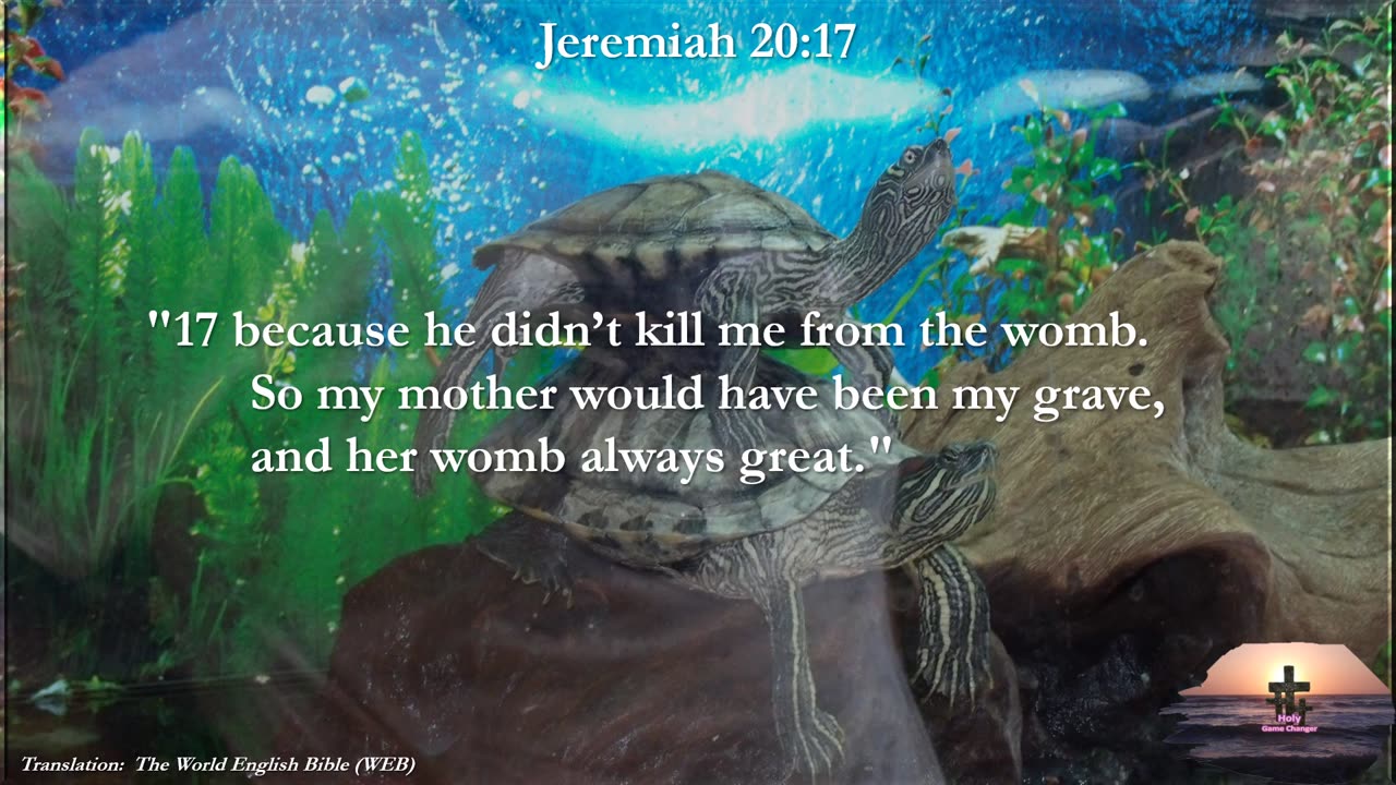 Jeremiah 20:17