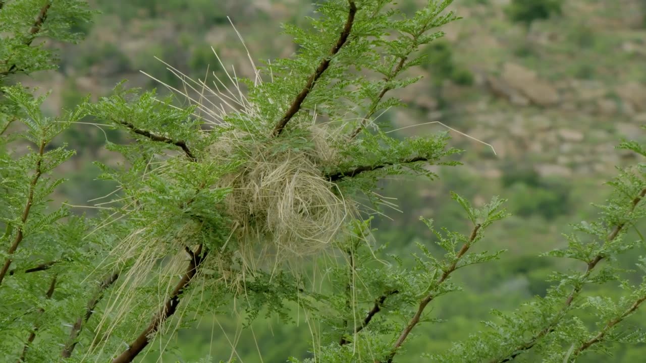 Africas Wild Horizons: Series 1_Vredefort Dome Crater of Life