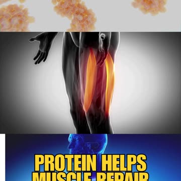 Want to lose fat without losing muscle? Here are 3 proven tips in 15 seconds!