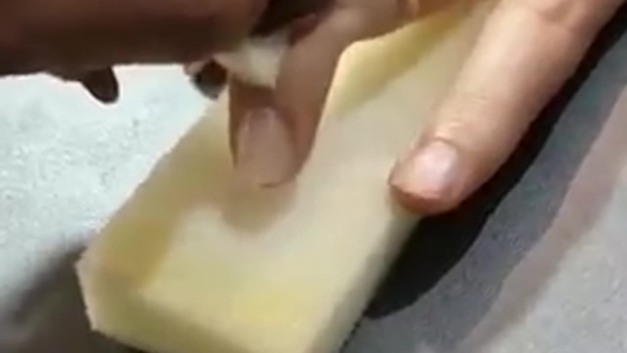 Mind-Blowing! These Prosthetics Look TOO Real!