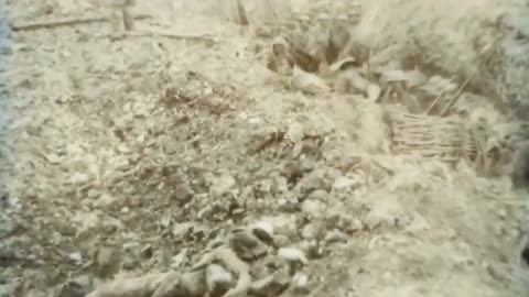 03 - Trench Echoes - WW1 Inspired Trench Music - Colourized Footage