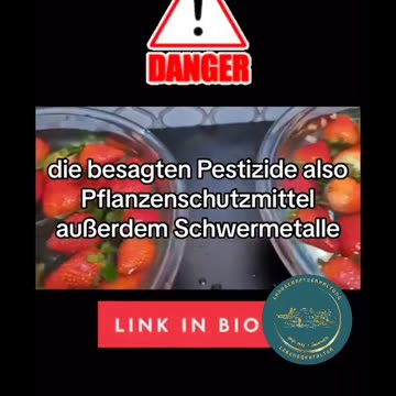 5 Giftarten in unserem Essen