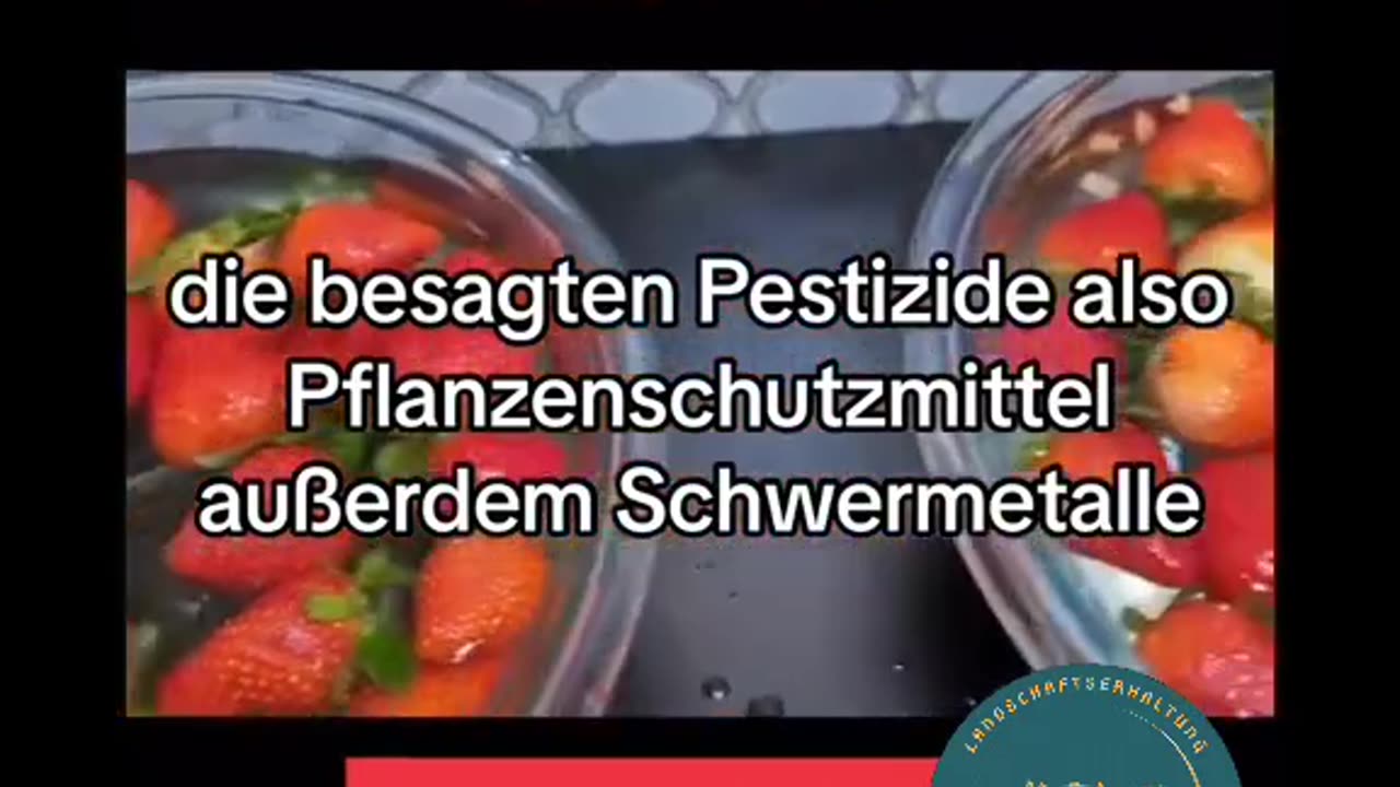 5 Giftarten in unserem Essen