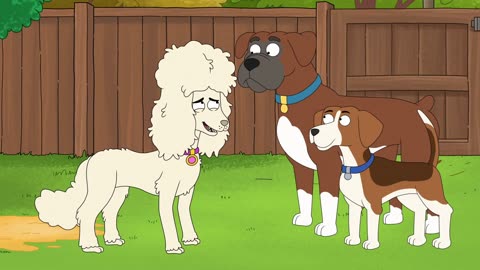 Every Appearance Of Rutabaga Boxer