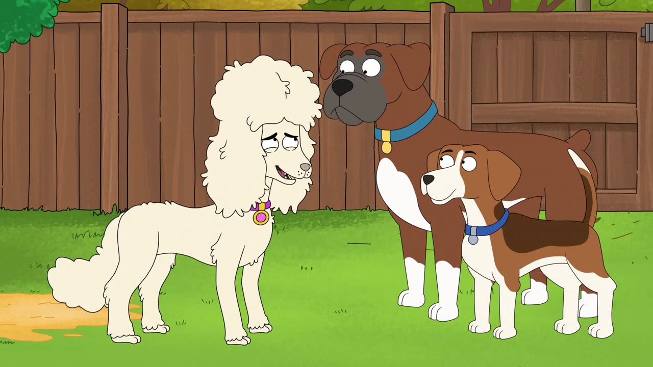 Every Appearance Of Rutabaga Boxer