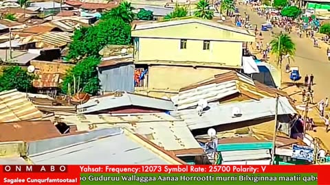 Oduu Waaree ONM-ABO Sadaasa 2-2025 itti dhiyaadhaa!