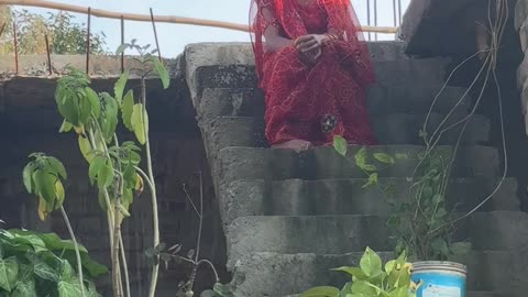 Bakri