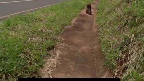 😨👻 What is This?... Cryptic Message Caught on Camera! #GhostlyToksa | TheHauntingHour