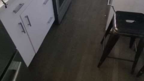 😵‍💫🤔 Lowkey Haunted? This Guy's Story Will Give You Goosebumps... | TheHauntingHour