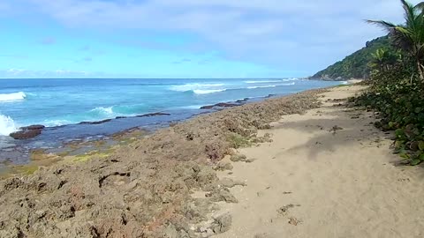 Surfer's Beach, Puerto Rico