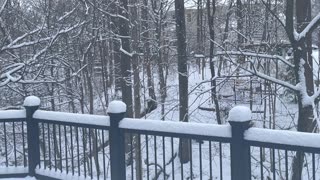 February 17, 2024 - The Quiet of a Snow Covered Saturday Morning