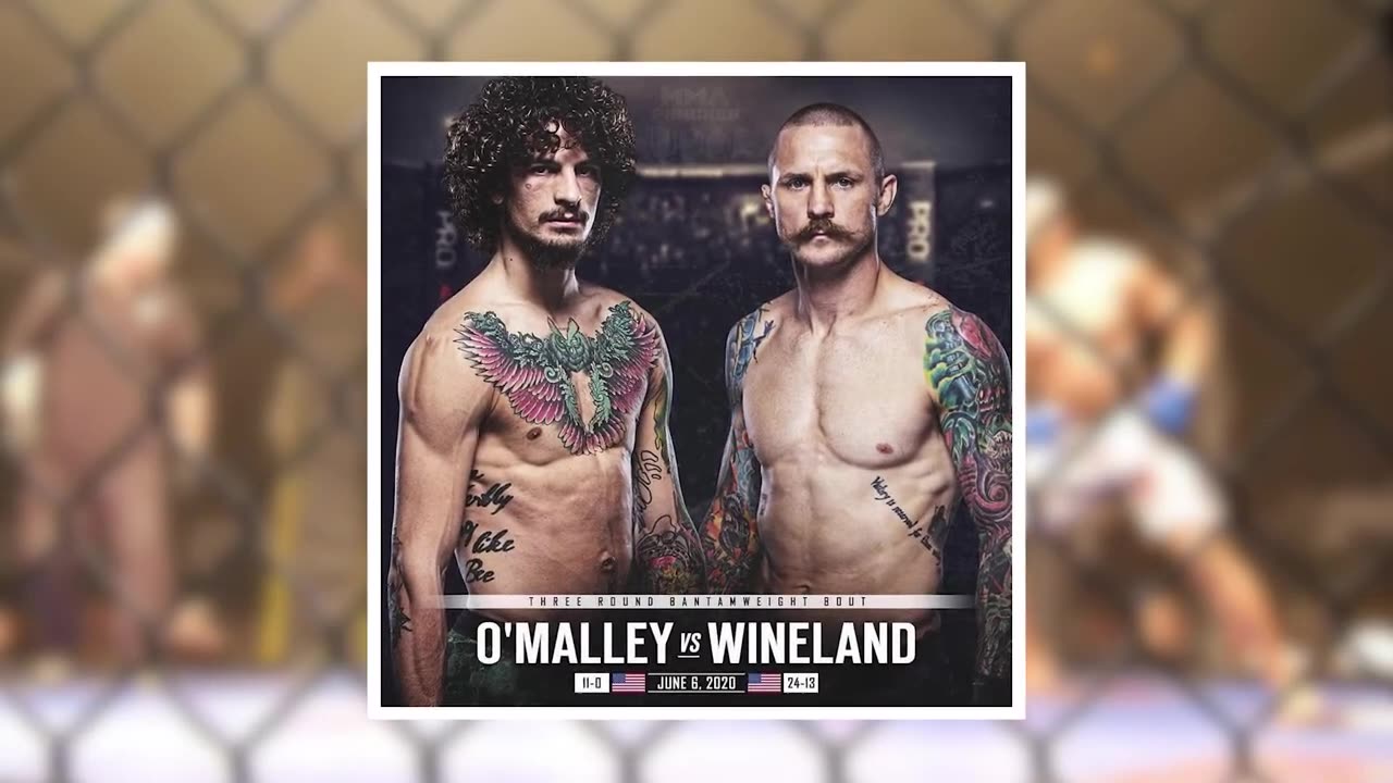 5 Fastest Knockouts In 2020 | Most shocking MMA moments | UFC 2021