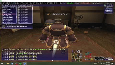 Playing Final Fantasy XI Online
