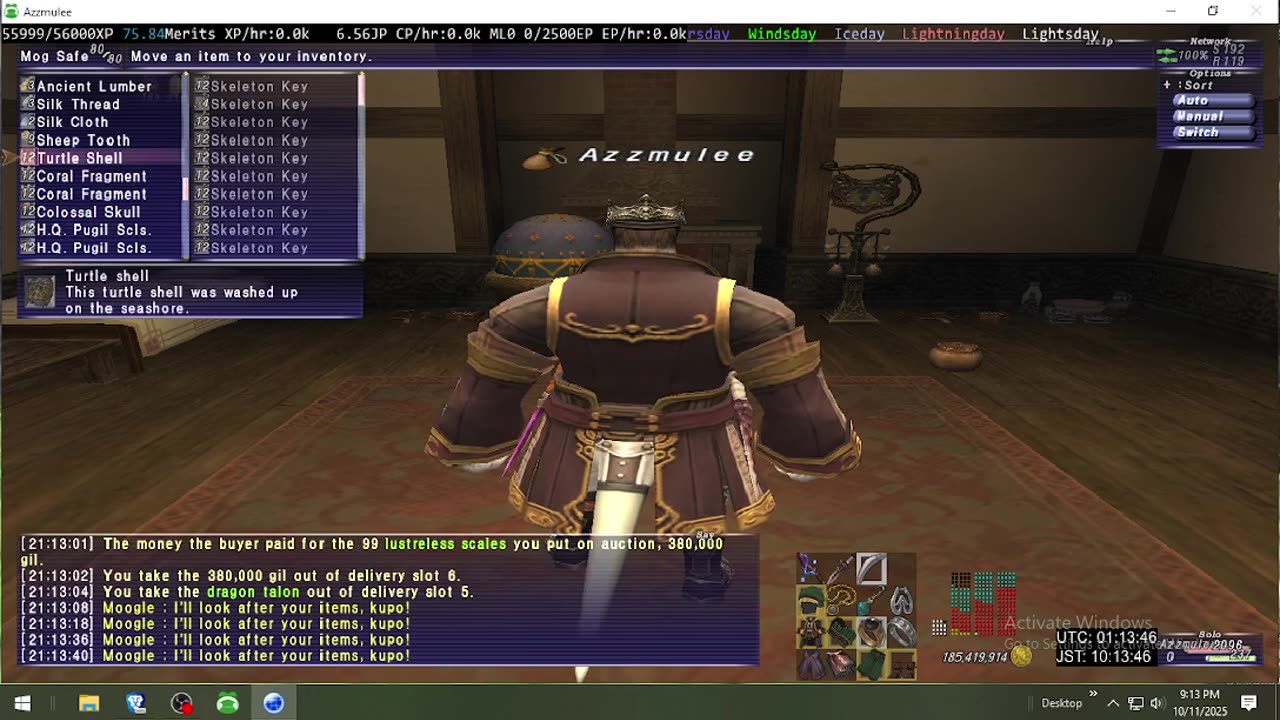 Playing Final Fantasy XI Online