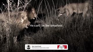 Shocking: LION MENTALITY - Motivational Video