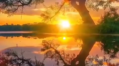 Landscape illustration Relaxing landscape Landscape photos