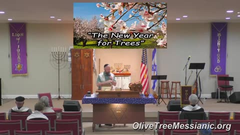 Tu B'shevat: Sermon Title - "The New Year for Trees"