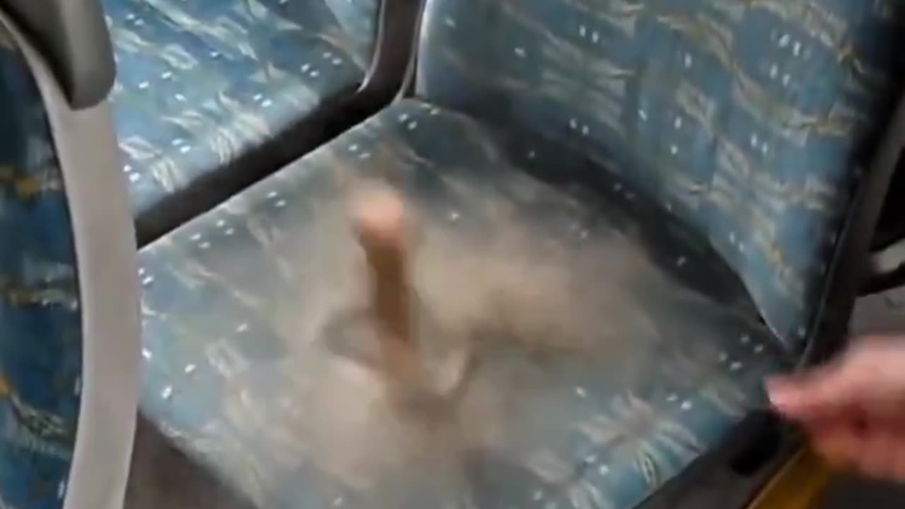 The reason bus seats have wild patterns and vibrant colours is to hide how dirty they are