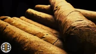 Babylon Bee does it again!!! Thanksgiving advice