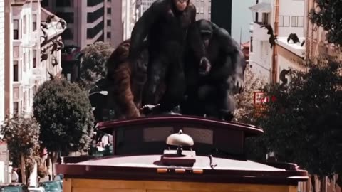 Funny comedy action love