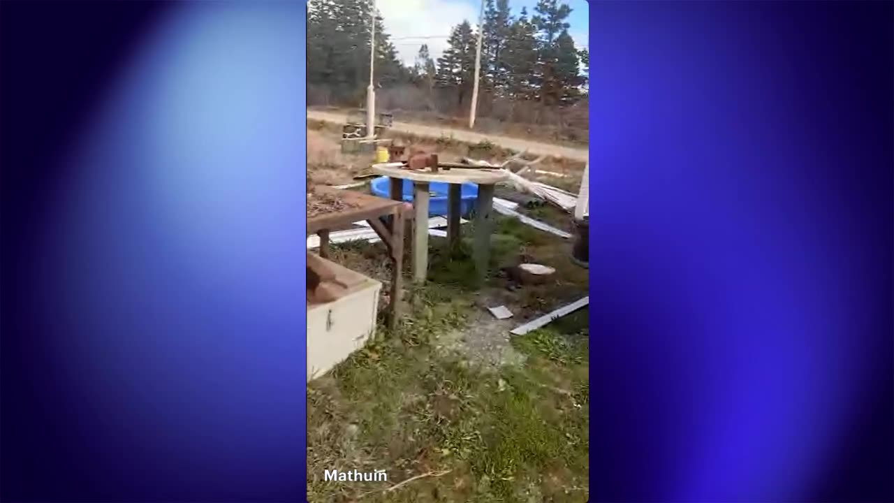 Morning Thoughts-12\11\25