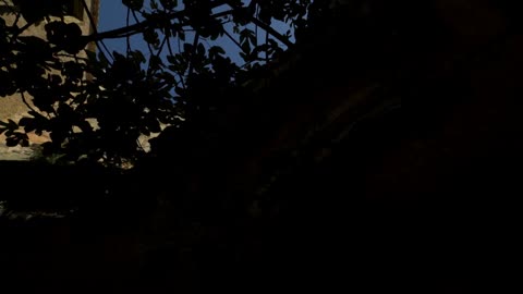 Salvador.Dali-In.Search.of.Immortality