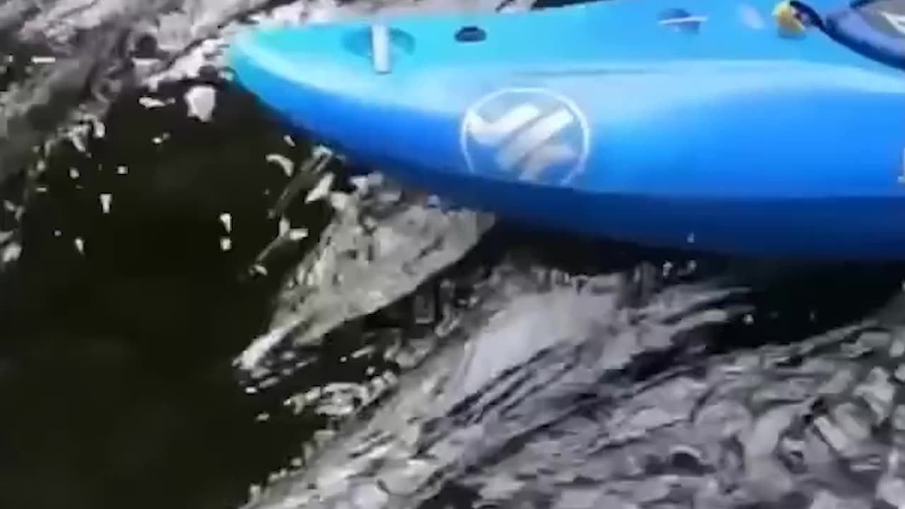 Top Videos You Have to See to Believe 💯