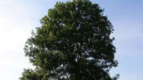 Rise Up, Don’t Back Down V2