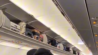 A Frontier flight went into full lockdown after crew claimed someone smuggled a dog onboard,