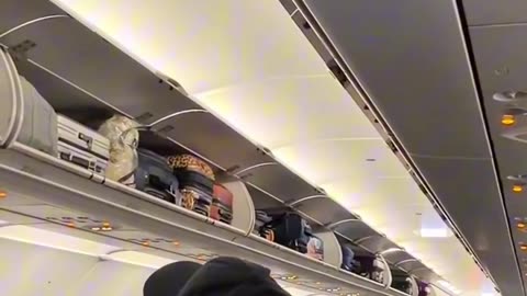 A Frontier flight went into full lockdown after crew claimed someone smuggled a dog onboard,