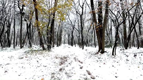 Last Christmas – Wham!