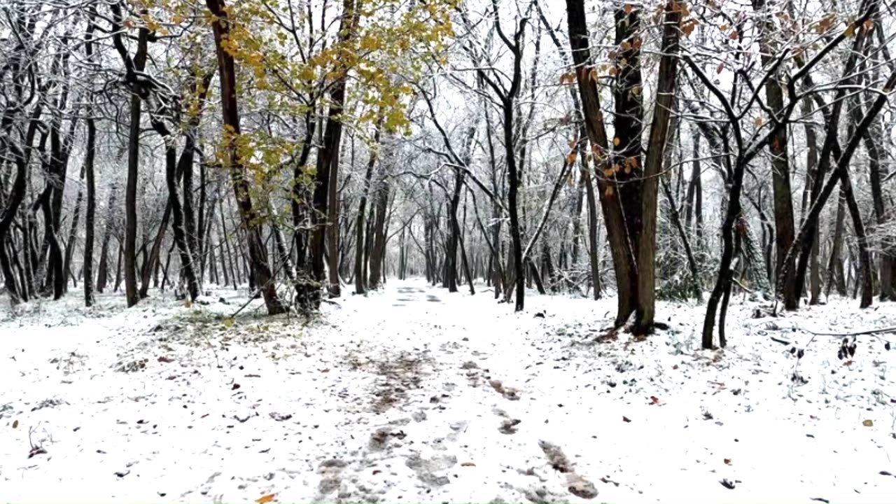 Last Christmas – Wham!