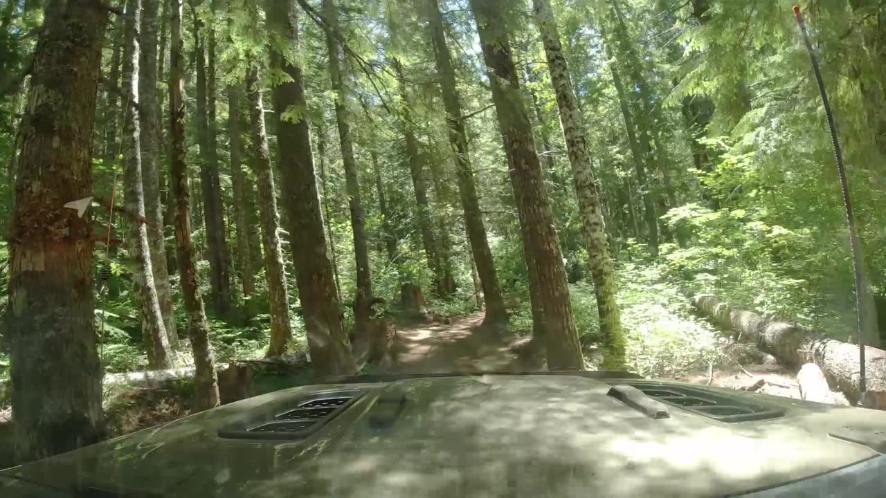 TSF (Tillamook State Forest) - Firebreak Five - Jul 2024 - Jeep Badge of Honor