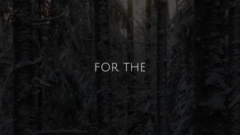 🙏❤️ Saturday's Prayer | May God Bless You | InGodWeTrustDaily