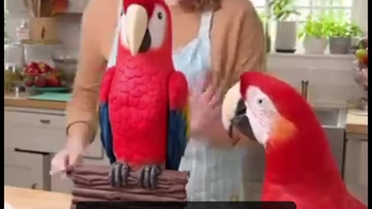 Parrot Says, "Call The Police!" (CC)