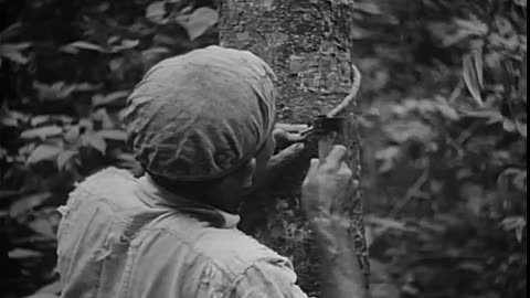 [FORD, BRAZIL] - [FORD, BRAZIL] - fc-fc-1541