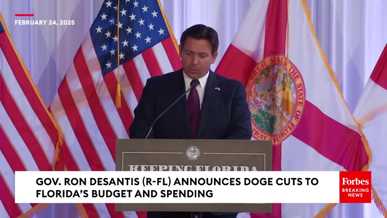 DeSantis Announces Florida DOGE Task Force To Make Huge Cuts To Sunshine State Budget