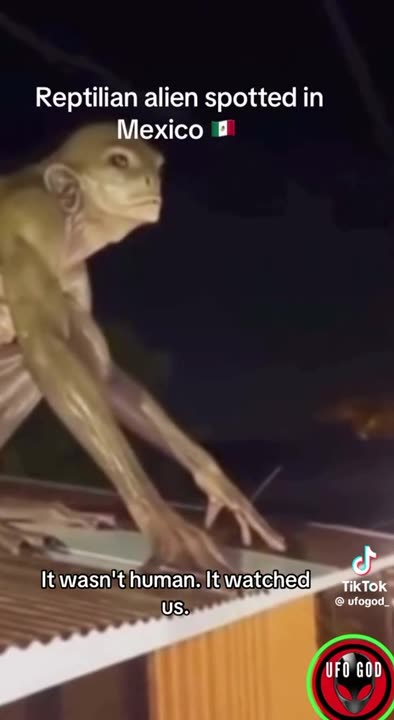 Reptilian alien spotted in Mexico