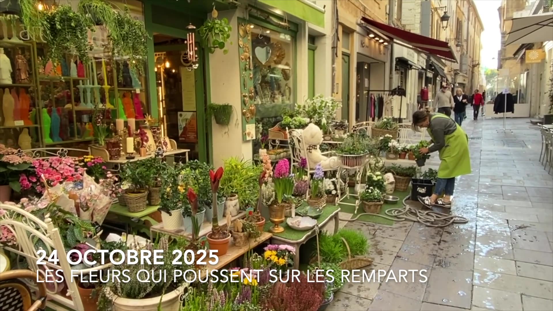 LES FLEURS QUI POUSSENT SUR LES REMPARTS