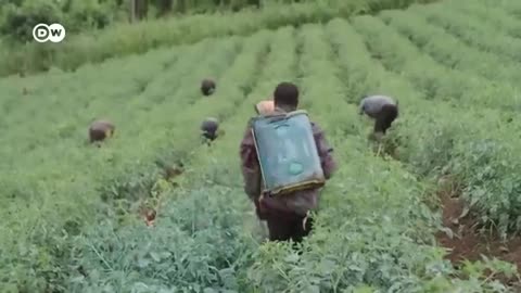Artificial Intelligence In Agriculture.