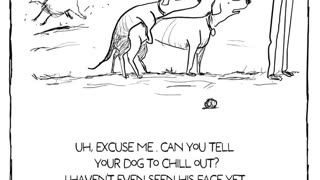 😂🐶 Dog Park Moments That Are TOO Funny! | FunFM