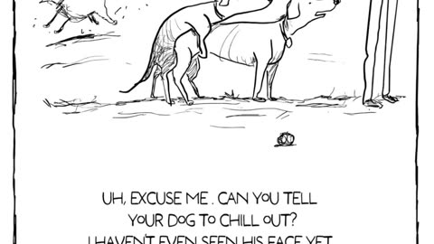 ððķ Dog Park Moments That Are TOO Funny! | FunFM