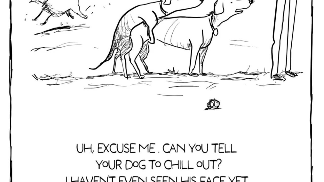 😂🐶 Dog Park Moments That Are TOO Funny! | FunFM